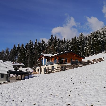 Austrian Alpine Apartments Ramsau am Dachstein Zewnętrze zdjęcie