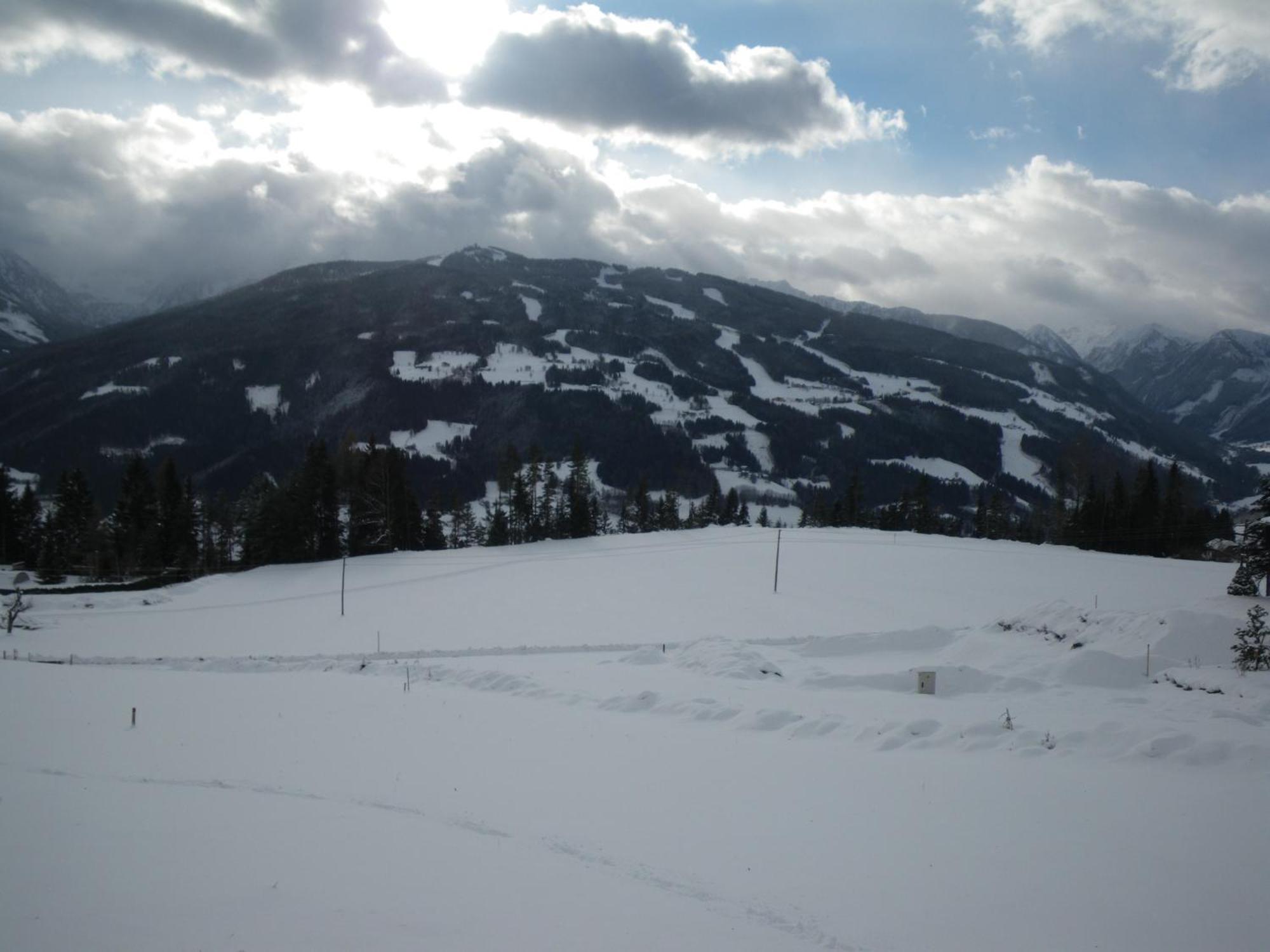 Austrian Alpine Apartments Ramsau am Dachstein Zewnętrze zdjęcie