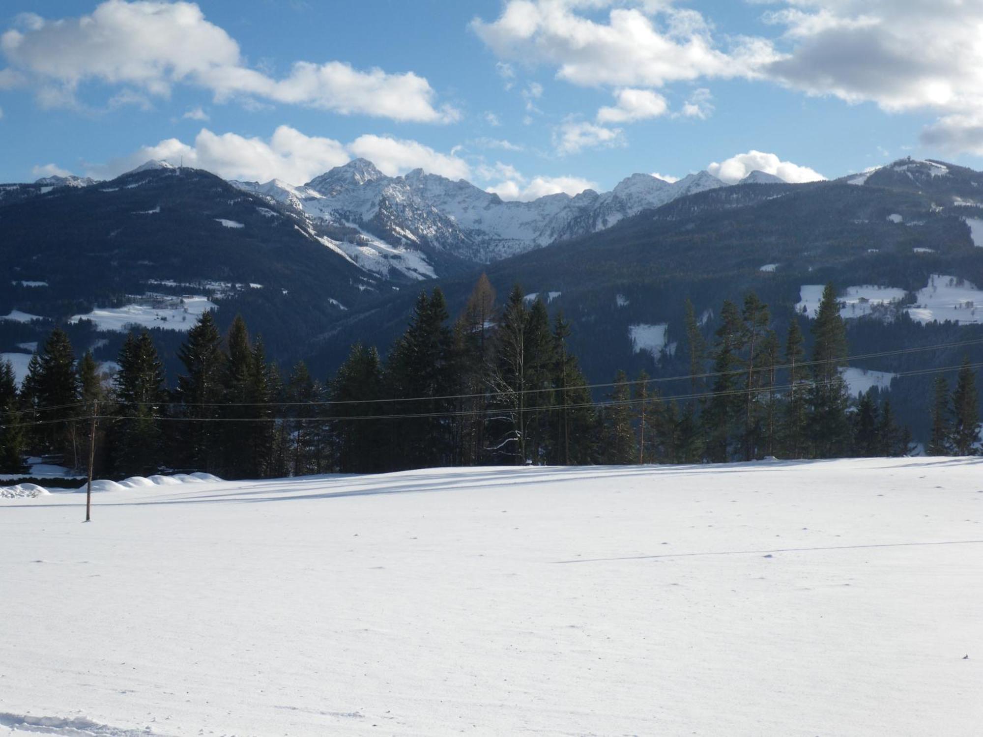 Austrian Alpine Apartments Ramsau am Dachstein Zewnętrze zdjęcie